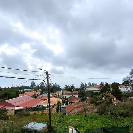 Magnolia House شقة